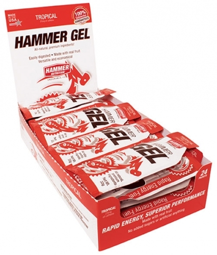 Hammer Nutrition Gel Box 24 Beutel 33g