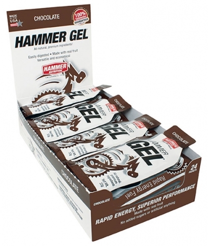 Hammer Nutrition Gel Box 24 Beutel 33g