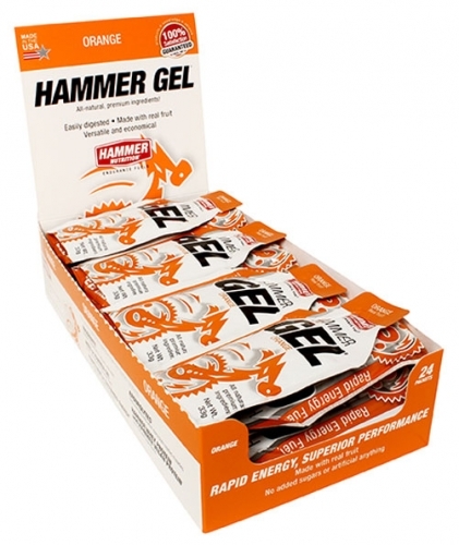 Hammer Nutrition Gel Box 24 Beutel 33g