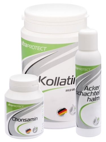 Ultra Sports Protect Ackerschachtelhalm Konz. 100ml, Chonsamin Kapseln 60g, Kollatin 380g