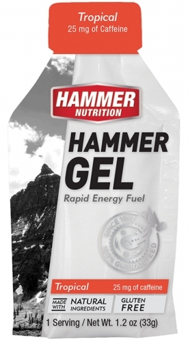 Hammer Nutrition Gel Beutel 33g