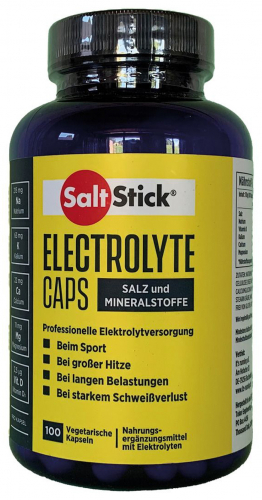 Salt Stick 100 Kapseln