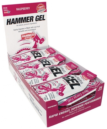 Hammer Nutrition Gel Box 24 Beutel 33g