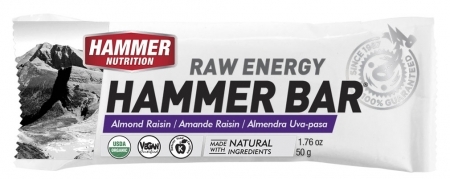 Hammer Nutrition Bar 50g